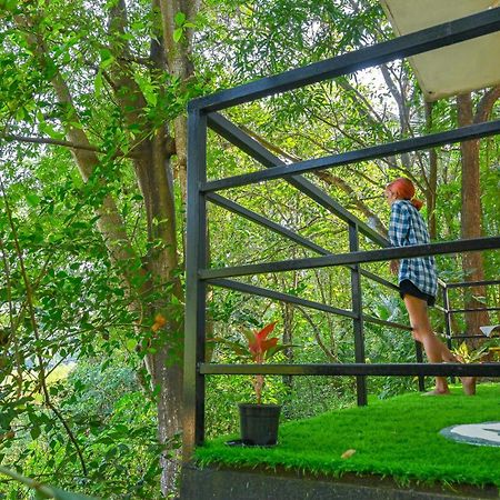 Shell House - Private Stay With Garden View In Arambol Mandrem Esterno foto